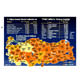 TTNET ucuz bilgisayar ve internet ile k�rsala a��l�yor