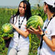 Edirnede FarmVillei ya�ad�lar