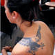Kartal d�vmesine tepki!