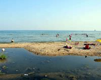 tekirda� deniz kirlilik
