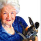 Alzheimer� iyile�tiren kanguru, t�berk�lozu ortaya ��karan fare...