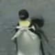 Penguen al��veri�e ��kt�