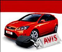 Avis g�nde 99 TL Ford Focus kiral�yor