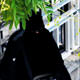Kara �ar�afla el�ilik �n�nde eylem