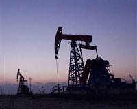 OPEC �RAN do�algaz petrol