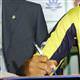 Fenerbah�enin 265 transferi!