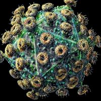 AIDS �srail