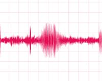 deprem sars�nt� Mu�la