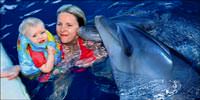 Tom ve Mi�a �ok yak�nda �zg�r