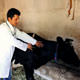 Et fiyat�nda yeni tehlike: �ap