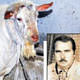 Ke�i sahibini �ld�rd�
