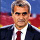 �enol G�ne� d�rtte d�rt yapmak istiyor
