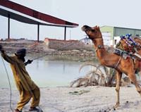 T�rk K�z�lay Pakistan