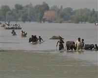 sel yard�m d�nya bankas� Pakistan kredi