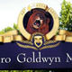 K�kreyen aslan MGM iflas koruma istedi