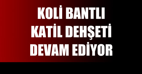 Bir ki�iyi b��aklay�p ka�t�