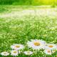 S�cak hava do�a anay� �a��rtt�
