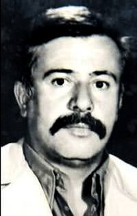 Terzi Fikri