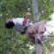 50 metrelik kulede feci �l�m