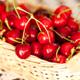 Alt�n fiyat�na kiraz