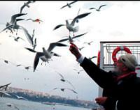 'Denizin sokak �ocuklar�'