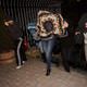 E�lence mekan�na fuhu� bask�n�