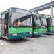 �stanbullular otob�slerinin rengini se�ecek
