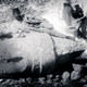 100 y�l sonra k�ymeti bilindi