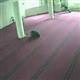Camide namaz k�larken �ld�
