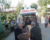 Ya�l� �ift evlerinde �l� bulundu
