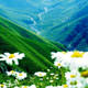 �evre i�in bunlara dikkat!