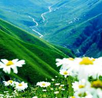 �evre i�in bunlara dikkat!