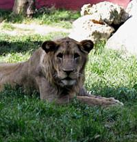 Dar�ca'da bahar havas�
