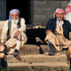 T�rkiyeden hikayeler
