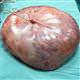 9 kilo 300 graml�k ur �ok etti