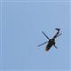 Malatyada askeri helikopter d��t�