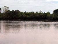 Meri� Nehri'nde 3 ceset bulundu