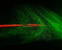 [Resim: 340156675786.jpg?340375114684]