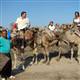 Develer turizmin hizmetinde