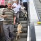 �st ge�itte ke�ili eylem