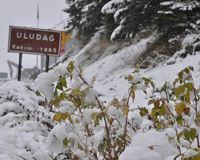 Kar kal�nl��� 17 santimetre oldu
