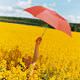 Hava yeniden �s�nacak