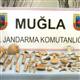 Kral�n kemiklerini �ald�lar