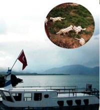 Van i�in yeniden do�ma zaman�