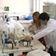 Bisk�vide jelatin meyve suyunda ah�ap!