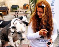'Her �ey bitti s�ra itlere geldi'