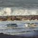 Tsunami de�il Karadeniz dalgas�