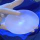 Avrupada sahte g���s implant� alarm�