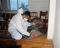 ERSİN KARAPAZAROĞLU