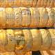 Alt�n t�rman��ta